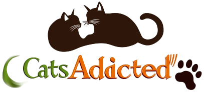 CatsAddicted®