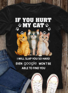 IF YOU HURT MY CAT