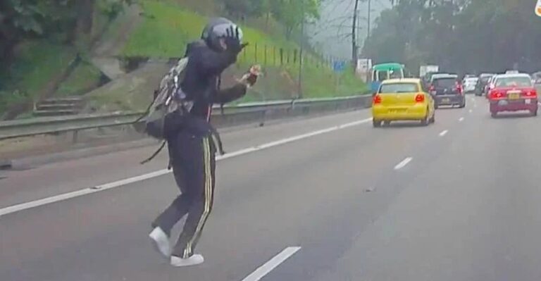 Heroic Rescue: Man Halts Traffic to Save Kitten on Highway